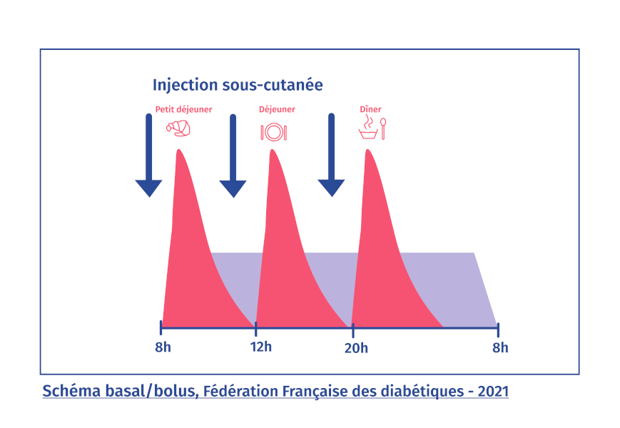 Mise à jour 84 imagen formule insuline fr thptnganamst edu vn